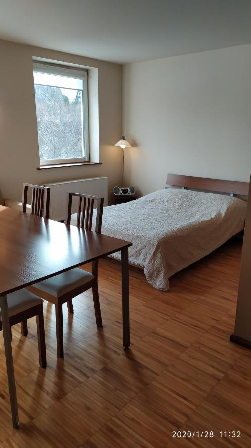 Zawoja1560 Apartamenty Przy Aptece Ngoại thất bức ảnh